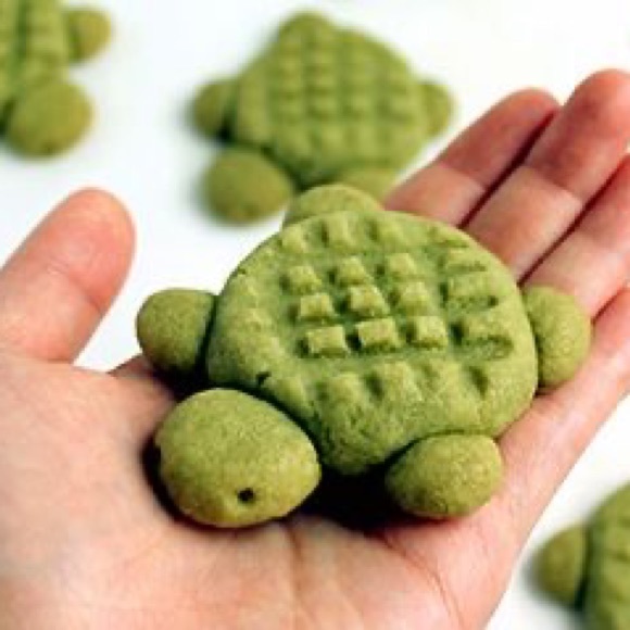 Meet your Posher, Izzy - Picture 1 of 1